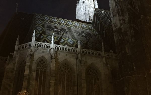 Stephansdom in Wien bei Nacht, mit beleuchtetem Turm und farbigem Ziegeldach. Im Vordergrund Statue und Verkehrsschilder.